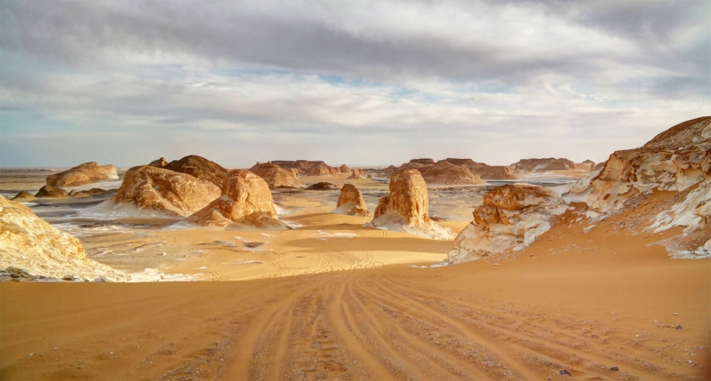 White Desert and Bahariya Oasis Tour